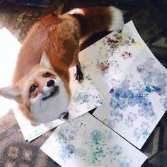 a fox is standing on the floor next to some paintings that have been made with acrylic paint