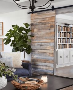 a living room filled with furniture and a book shelf next to a plant on top of a coffee table