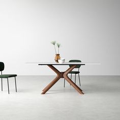 a table with two chairs next to it and a potted plant in the middle