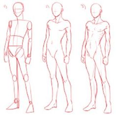 three different views of a man's body and torso, from the front to the back