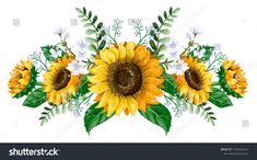 a bouquet of sunflowers and daisies with leaves on a white background illustration