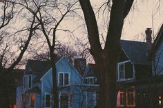 a large blue house sitting next to a tree in the middle of a park at dusk