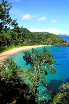 the beach is surrounded by trees and blue water