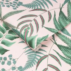 a green and pink wallpaper with leafy leaves on white background, close up