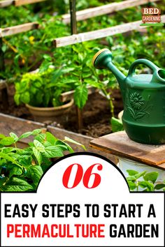 an old watering can sitting on top of a wooden box in the middle of a garden