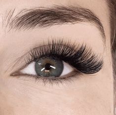 Elf Make Up, Best Eyelash Extensions, Types Of Eyelash Extensions, Best Lash Extensions, Cat Eye Lash, Volume Lash Extensions