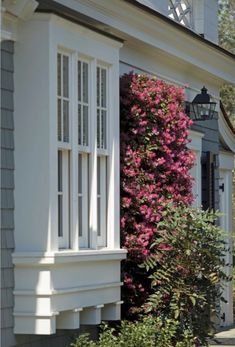 a house with flowers growing on the side of it