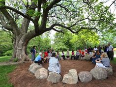 a group of people sitting on top of large rocks in a park next to a tree