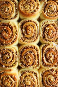 cinnamon rolls are arranged in rows on a baking sheet