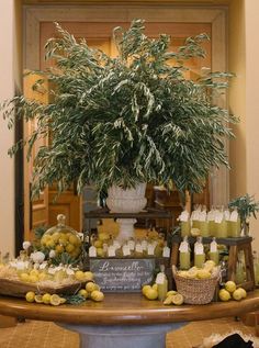 a table topped with lots of lemons next to a potted plant and bottles filled with liquid