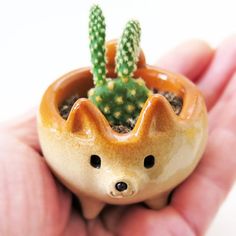 a hand holding a small ceramic animal planter with a cactus in it's mouth