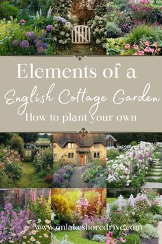 an english cottage garden with lots of flowers and plants in the foreground text reads, elements of a english cottage garden how to plant your own