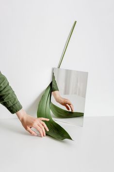 a hand reaching for a green leaf in front of a mirror that is upside down