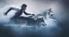 a man riding on the back of a white wolf