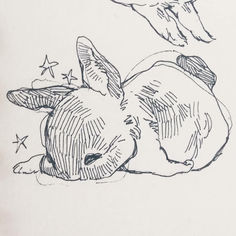 a drawing of a rabbit laying on its back next to a bird flying over it