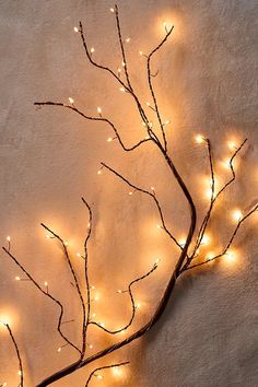 a branch with some lights on it in front of a white wall and the branches have no leaves