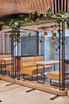 an indoor seating area with plants on the ceiling and wooden benches in front of it