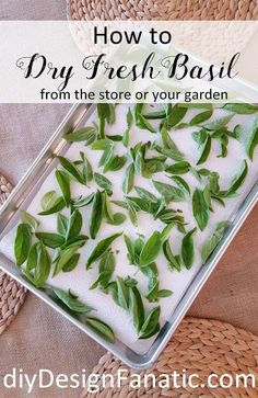 how to dry fresh basil from the store or your garden