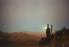 the sun is setting over some mountains and cactus trees in the foreground, with a full moon rising above them