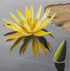 a painting of a yellow flower floating on water