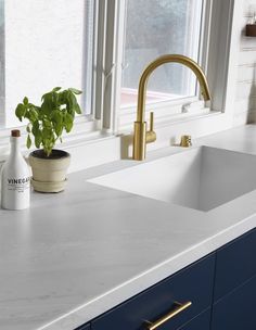 a white kitchen sink sitting under a window next to a potted plant and bottle