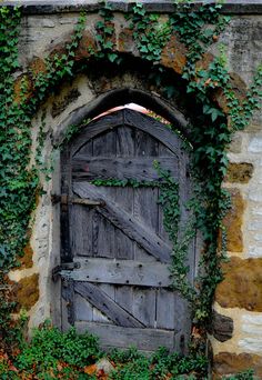 an old wooden door with ivy growing on it's sides and in between two stone walls