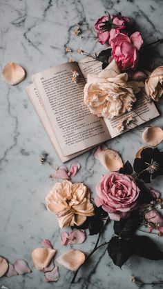 an open book with flowers on top of it next to shells and petals in the background