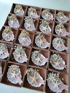 a box filled with lots of different types of flowers and seashells on top of each other