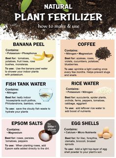 an info sheet describing how to use plant fertilizer