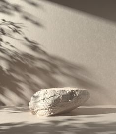 a rock sitting on top of a white floor next to a plant