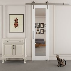 a cat sitting on the floor in front of a white cabinet and sliding glass door