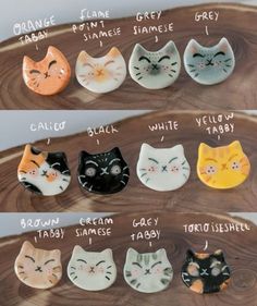 there are many different types of cats on this plate, and each has their own name