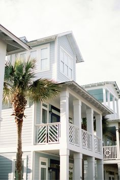 a palm tree is in front of two white houses with balconies on the second floor