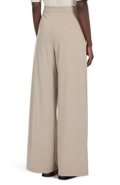 Stretch jersey adds a fluid drape to staple pants in a goes-with-everything shade. Zip fly with hook-and-bar closure Front slant-welt pockets 82% polyamide, 18% elastane Dry clean or hand wash, dry flat Imported Staple Pants, Jersey Pants, Nordstrom Store, Max Mara, Welt Pockets, Wide Leg Pants, Classic Style, Fitness Models, Wide Leg