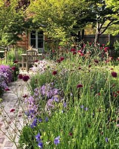 a garden filled with lots of purple and red flowers