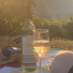 a glass of wine sitting on top of a picnic table next to a bottle of wine