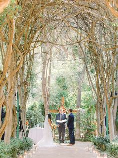 a bride and groom are standing under an arch made of trees with candles in front of them