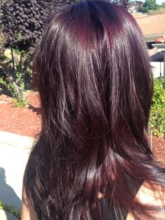 Merlot Hair, Deep Burgundy Hair Color, Hair Color With Highlights, Deep Burgundy Hair, Pelo Color Borgoña, Merlot Hair Color, Color With Highlights, Pelo Color Vino, Burgandy Hair