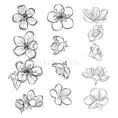 flowers drawn in black and white on a white background