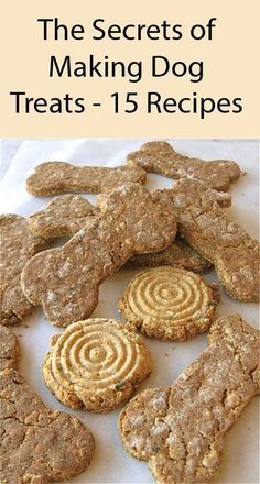 the secrets of making dog treats - 15 recipes