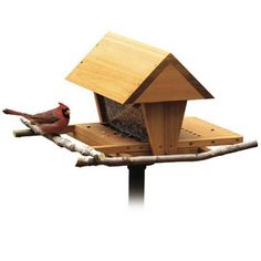 a bird feeder with two birds sitting on it's sides and one in the middle