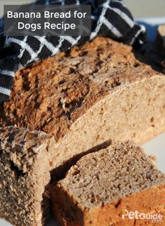 banana bread for dogs recipe on a plate