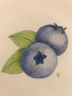 two blueberries with green leaves are shown in colored pencils on white paper,