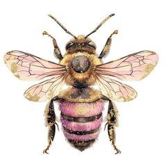 a drawing of a bee with pink and yellow wings