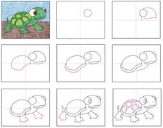 how to draw a turtle step by step instructions for kids and beginners with pictures