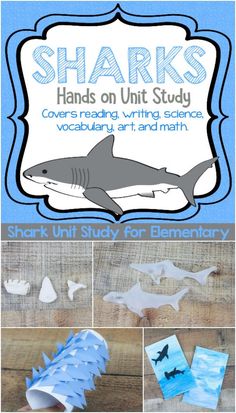 shark crafts for kids that are easy to make and great for learning with their own hands