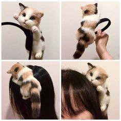 four pictures of a cat being held up by a woman's hand with hair in it