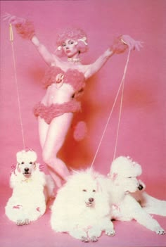 a woman with four poodles in front of her and two dogs on a pink background