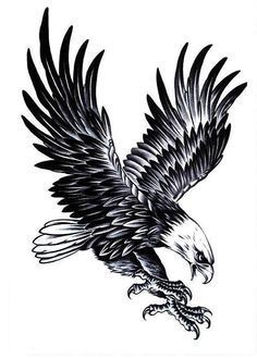 an eagle flying with its wings spread out and taloning it's claws in the air