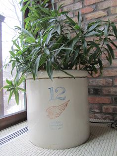 a potted plant sitting on top of a rug next to a window sill